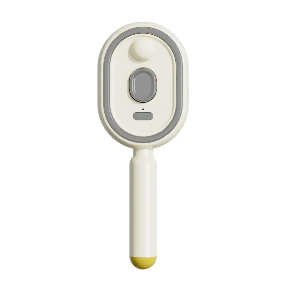 Electric Misting Hair Brush